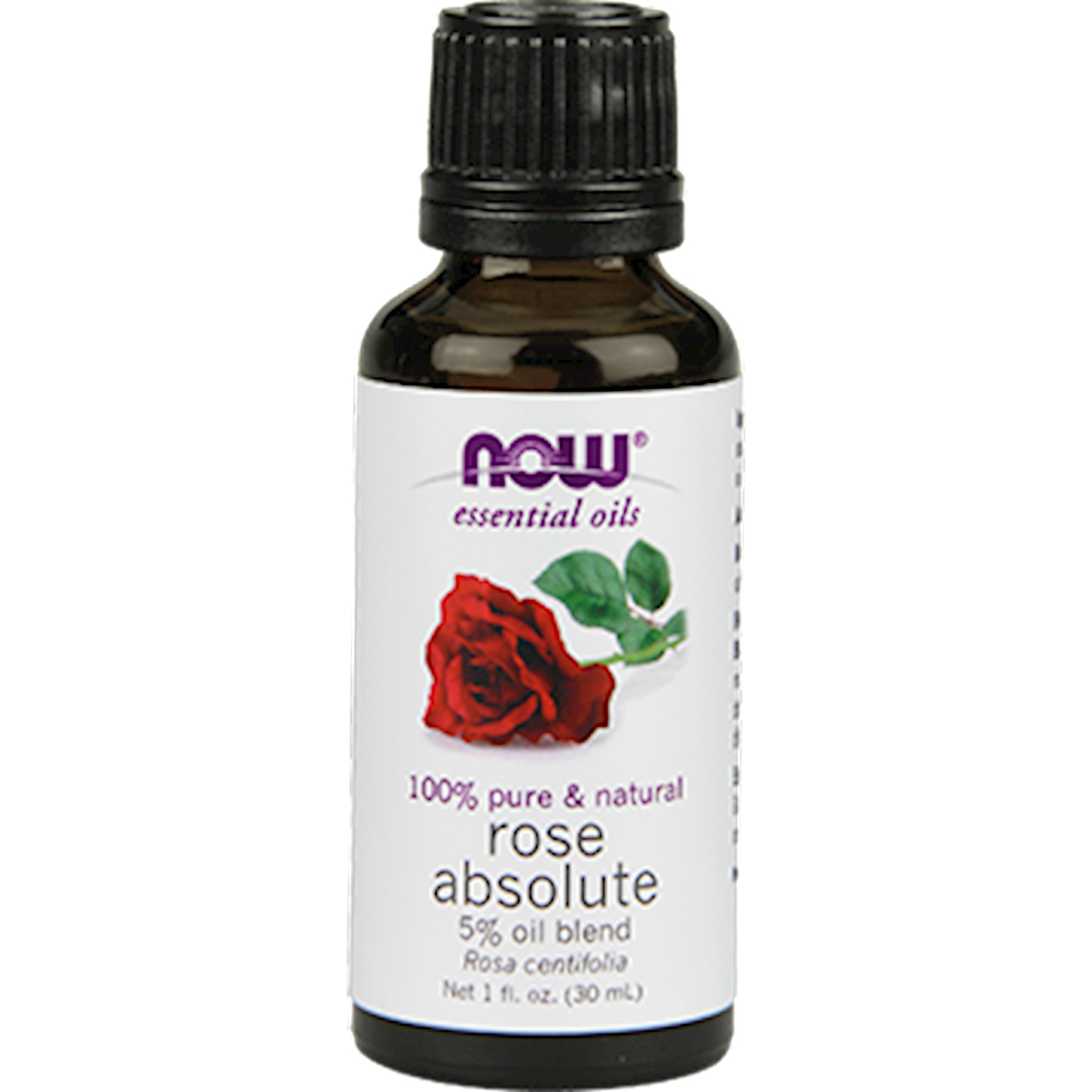 Rose Absolute 5% Blend Oil