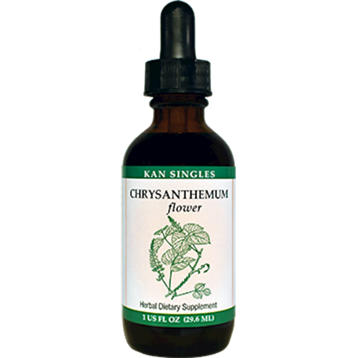 Chrysanthemum flower