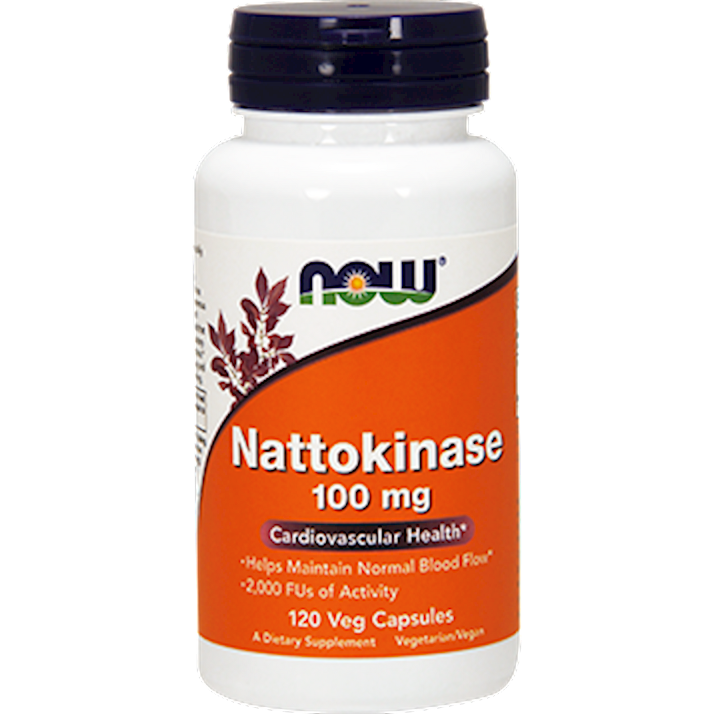 Nattokinase 100 mg 120 Vegetarian Capsules