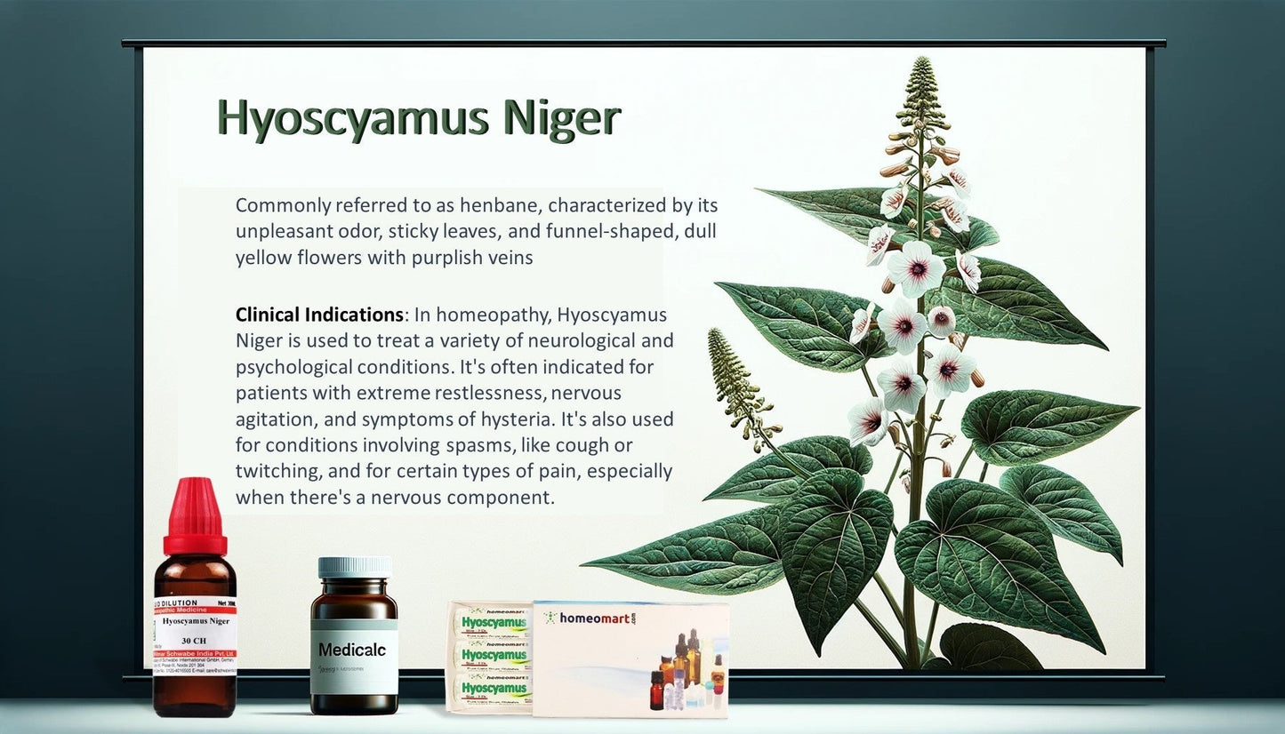 Hyoscyamus Niger Homeopathy Mother Tincture