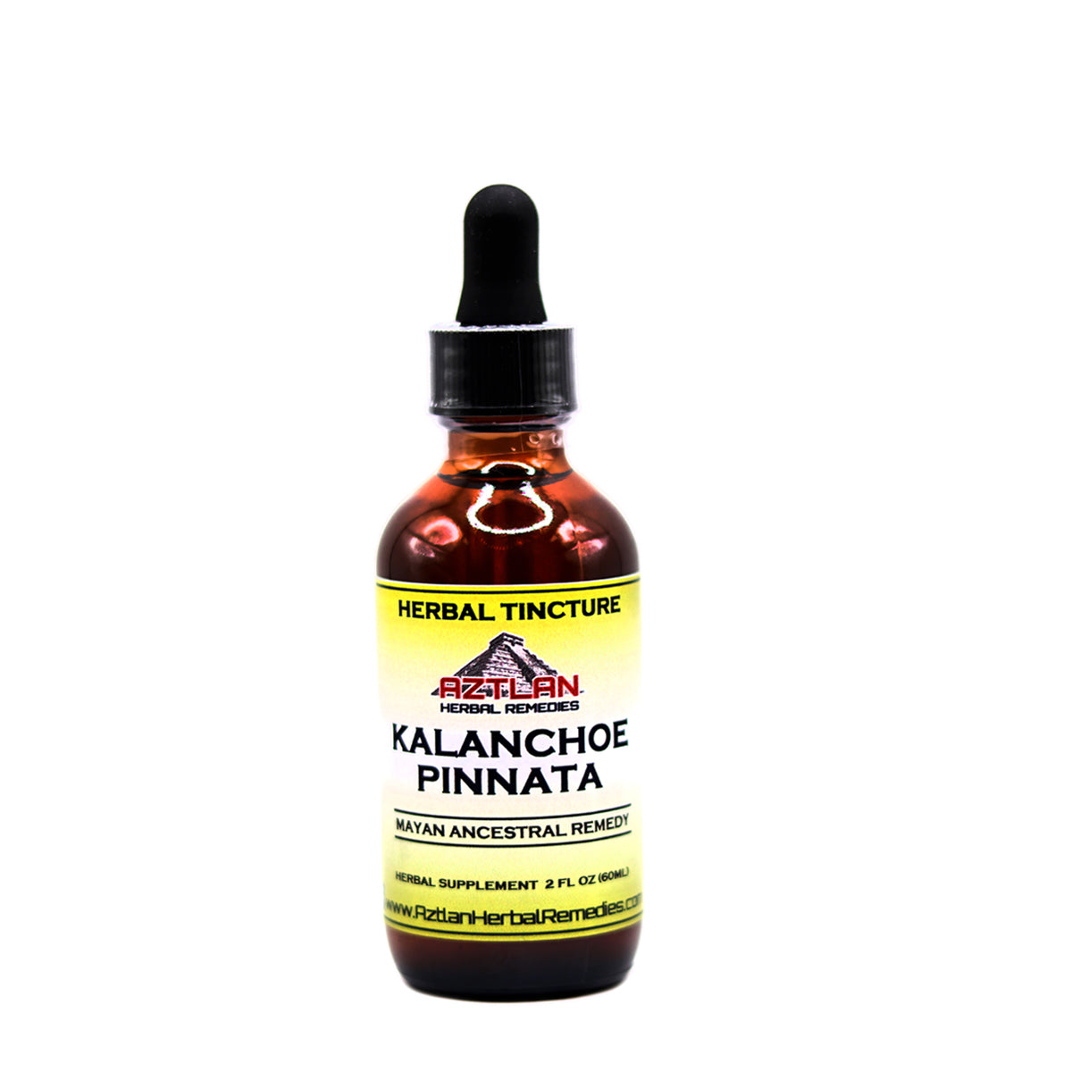 Kalanchoe Tincture 2oz