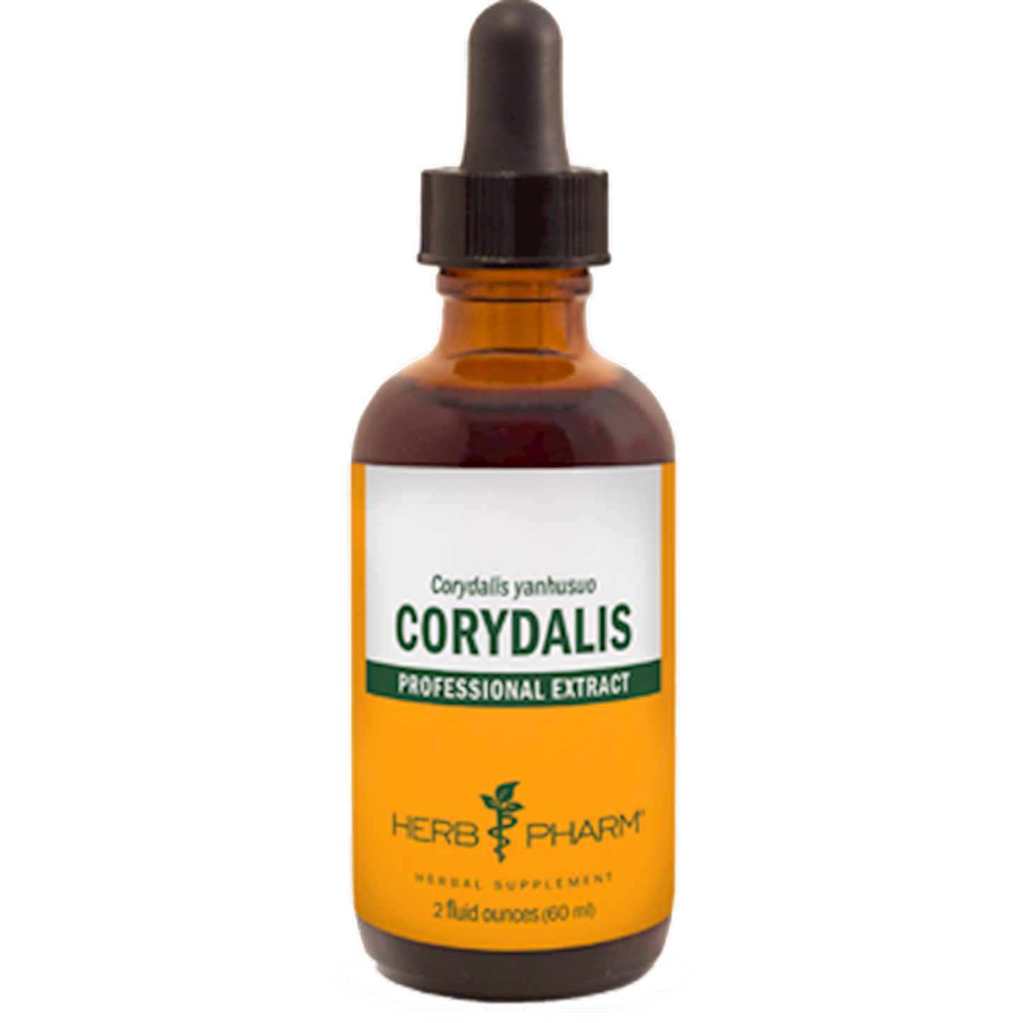 Corydalis Extract