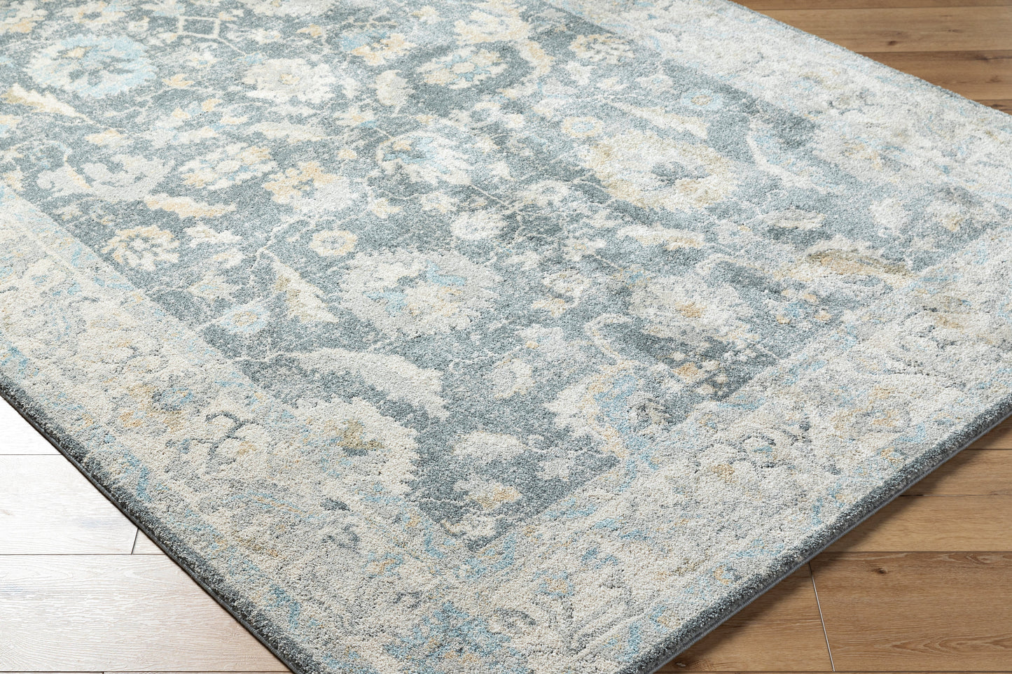 Avellino AVL-2305 Rug-  Beige, Blue