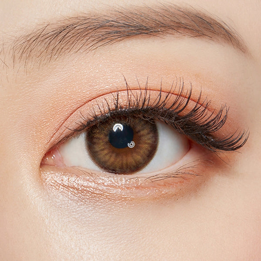 Spanish Circle Brown