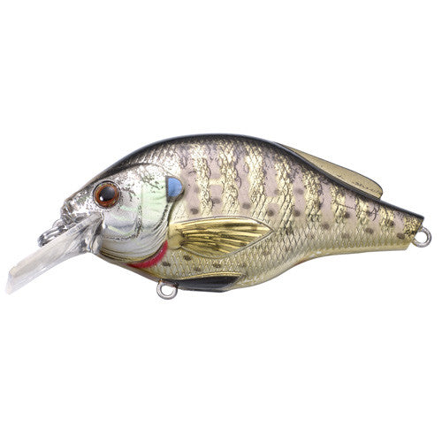 Bluegill FS Squarebill,metallic/gloss,#6 - GhillieSuitShop