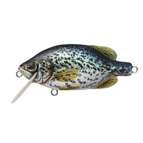Crappie FS Crankbait,metallic/gloss,#4 - GhillieSuitShop